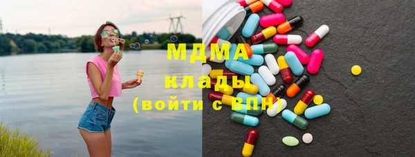 гидра Богородск