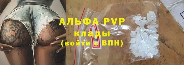 гидра Богородск