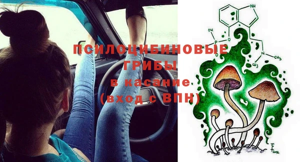 мдма Богданович