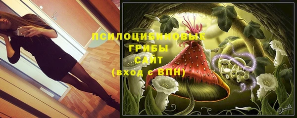 гидра Богородск