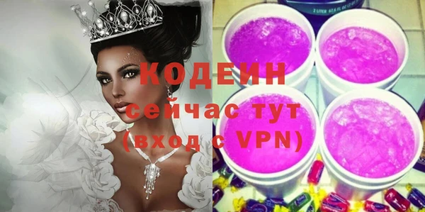 гидра Богородск