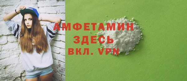 гидра Богородск