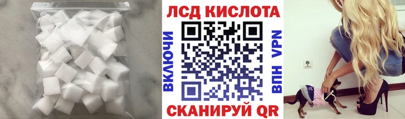 Купить закладки  Аргун  Лсд 25 экстази кислота 