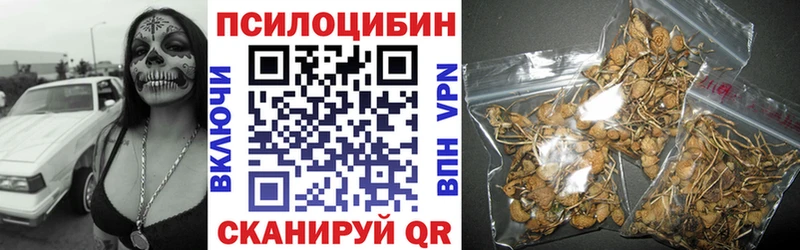 Купить где  Аргун  Псилоцибиновые грибы ЛСД 