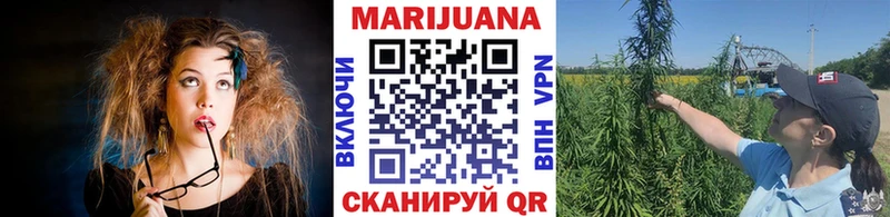 Марихуана гибрид  Купить  Аргун 